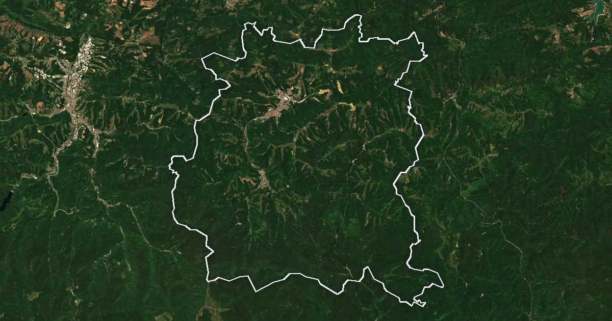 Сателитска снимка со исцртана граница: Трјавна