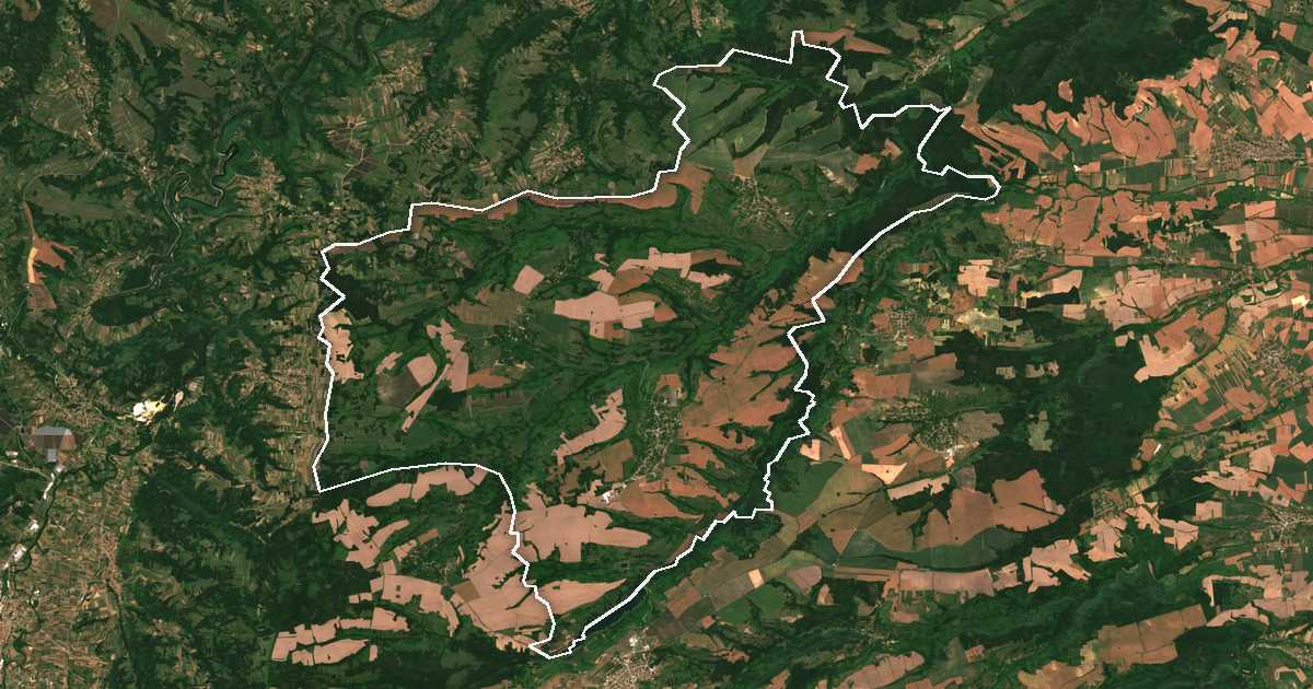 Сателитска снимка со исцртана граница: Бојница