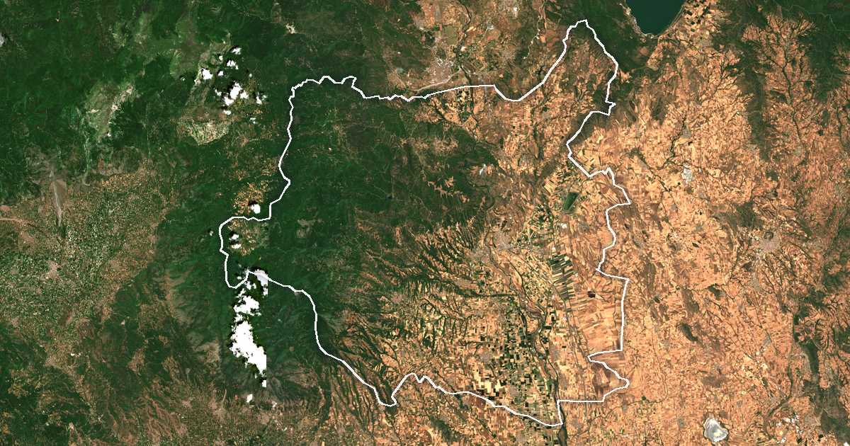 Сателитска снимка со исцртана граница: Пајонија